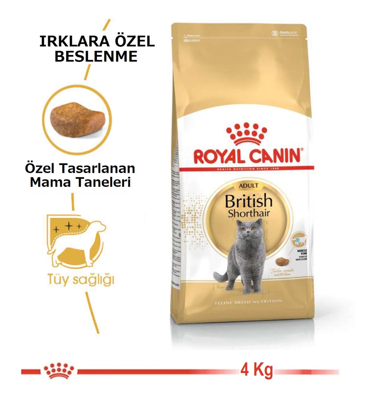 Royal Canin British Shorthair Yetişkin Kedi Maması 4 Kg