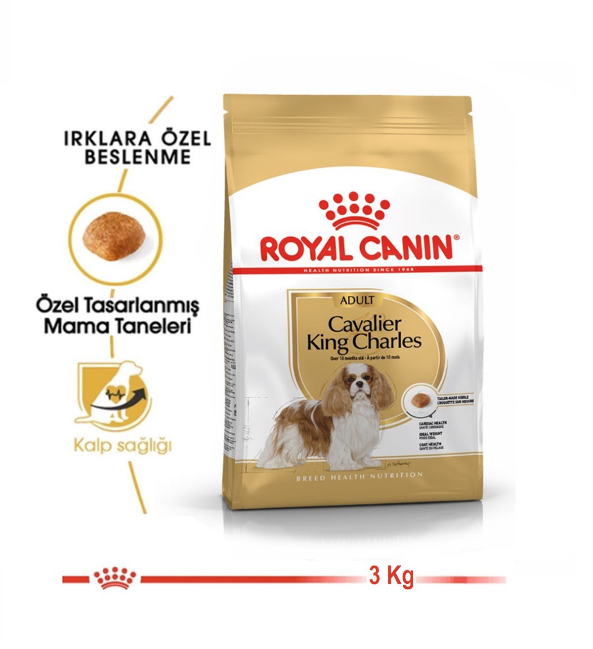 Royal Canin Cavalier King Charles Yetişkin Köpek Maması 3 Kg