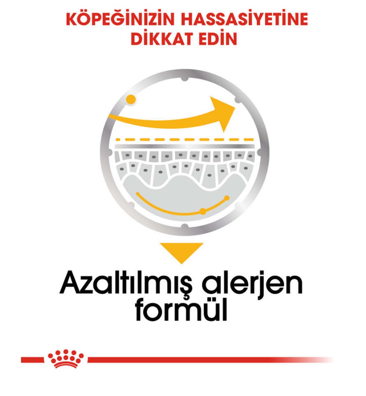 Royal Canin Dermacomfort Loaf Pouch Adult Tüm Irk Köpekler İçin Deri ve Tüy Sağlığı Yaş Maması 85 Gr