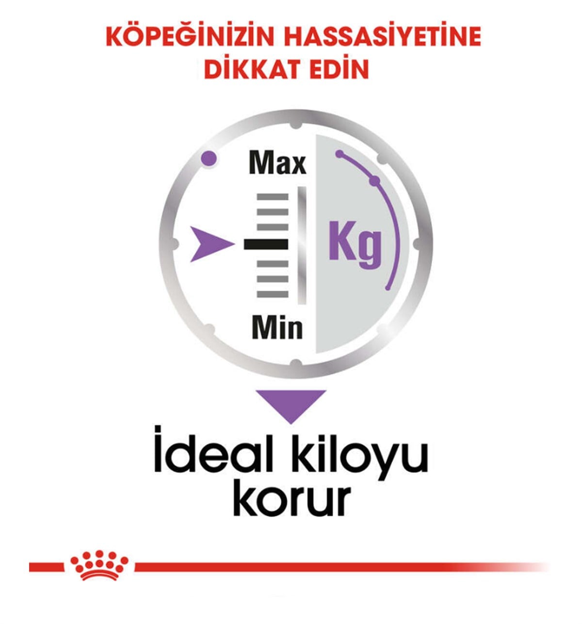Royal Canin Ccn Sterilised Loaf Yaş Köpek Maması 85 Gr