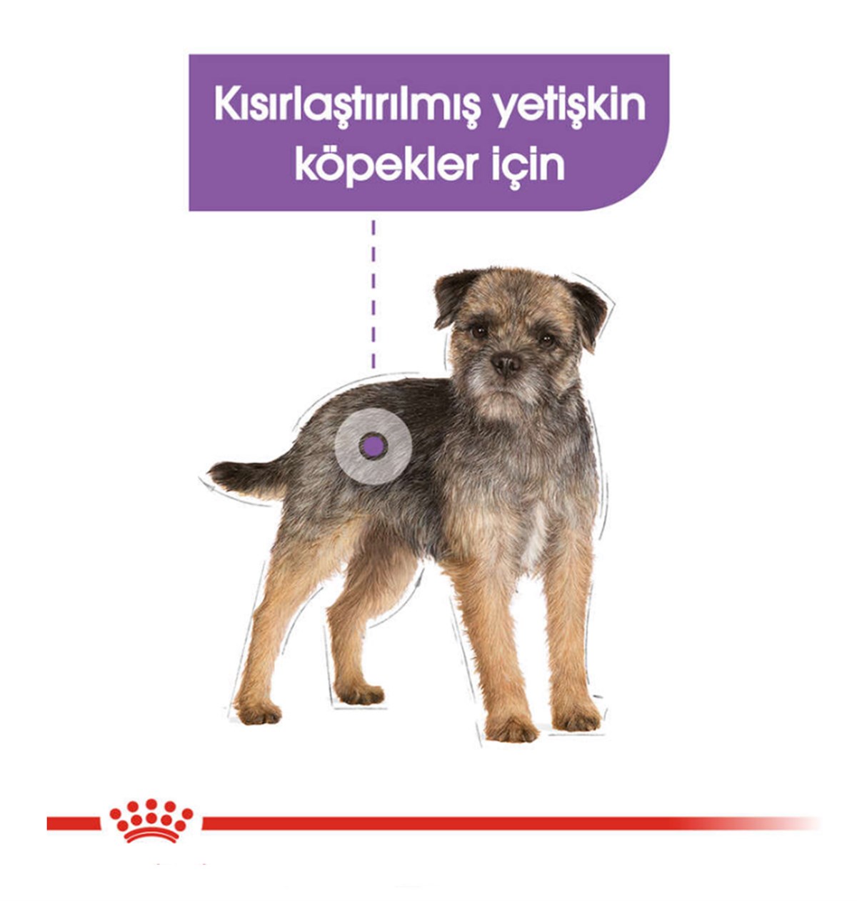 Royal Canin Ccn Sterilised Loaf Yaş Köpek Maması 85 Gr