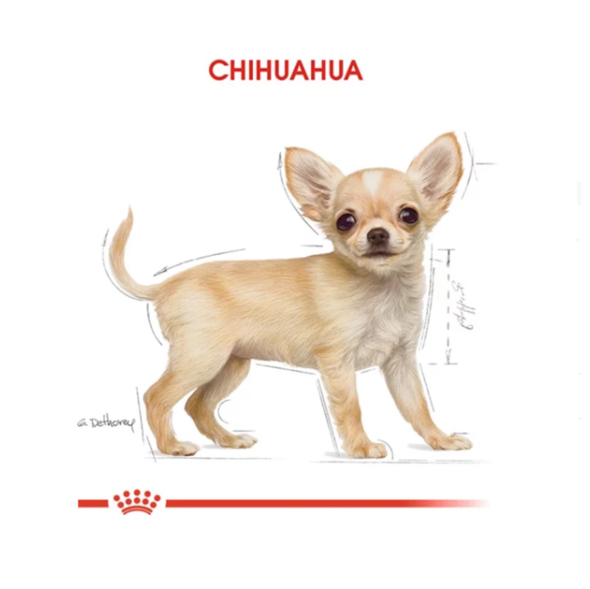 Royal Canin Chihuahua Puppy Yavru Köpek Maması 1.5 Kg