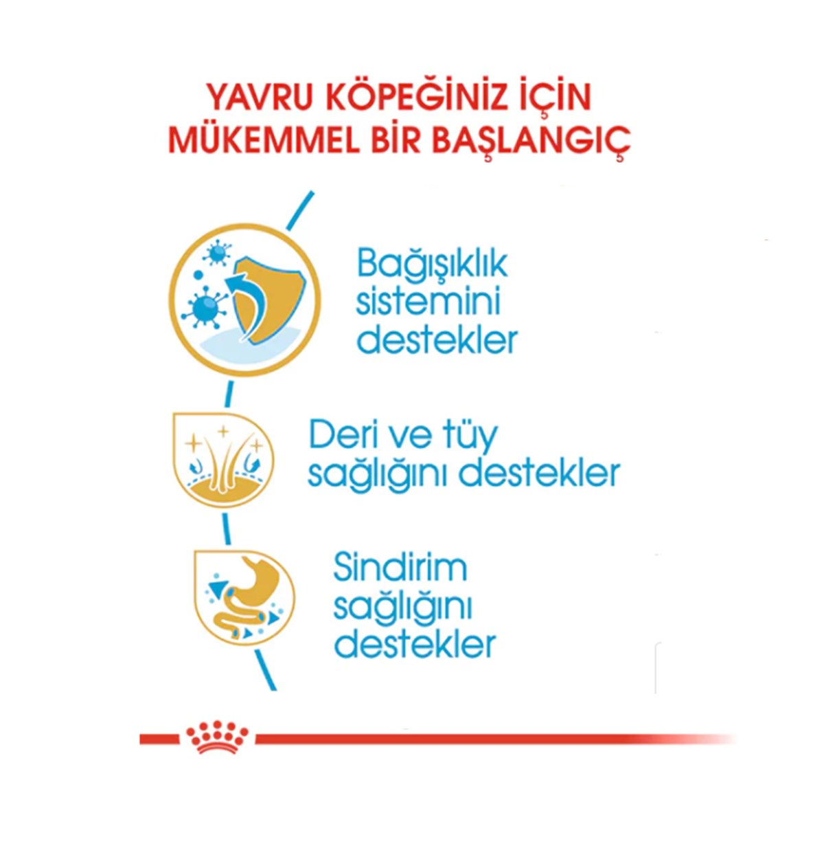 Royal Canin Cocker Puppy Yavru Köpek Maması 3 Kg