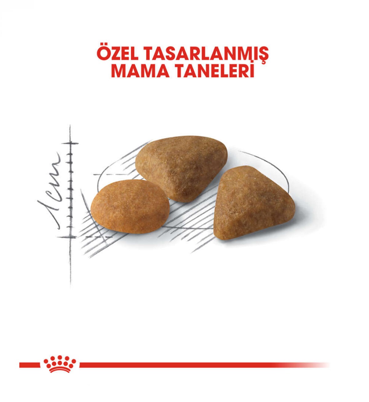 Royal Canin Savour Exigent Seçici Yetişkin Kedi Maması 4 Kg 