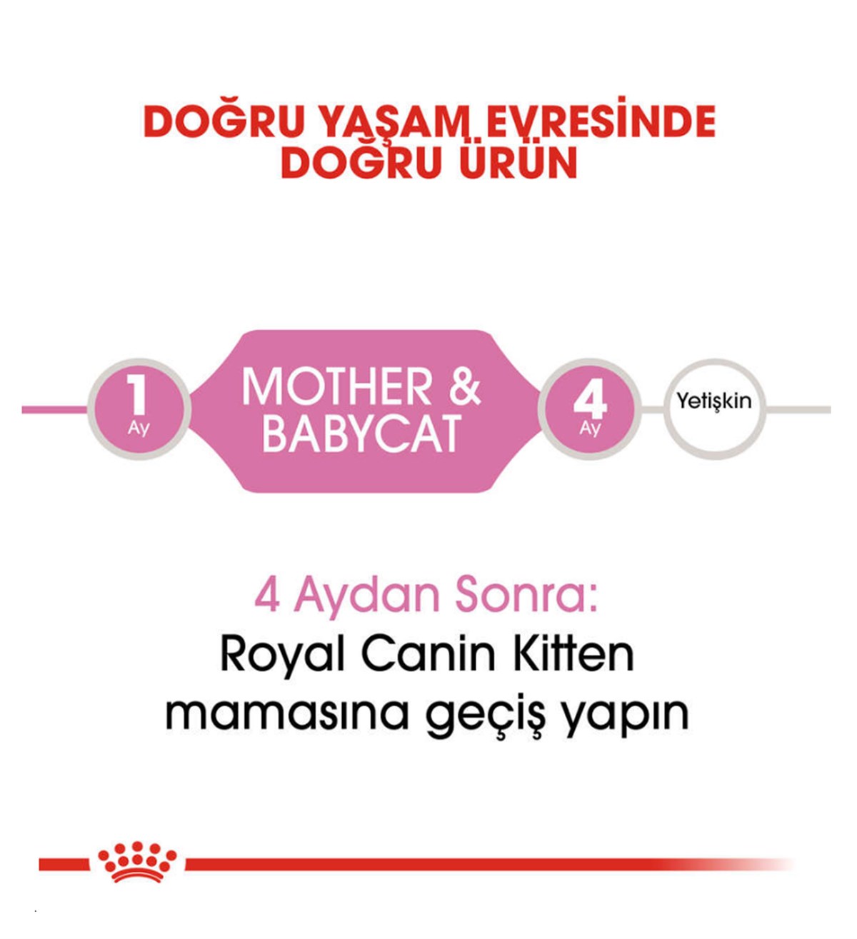 Royal Canin Mother & Baby Cat Yavru Kedi Maması 4 Kg.