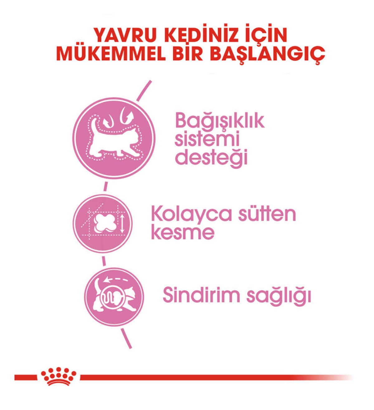 Royal Canin Mother & Baby Cat Yavru Kedi Maması 4 Kg.