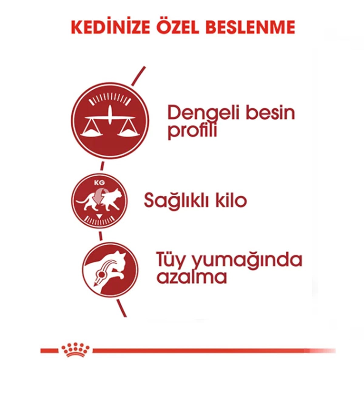 Royal Canin Fit 32 Yetişkin Kedi Maması 4 Kg