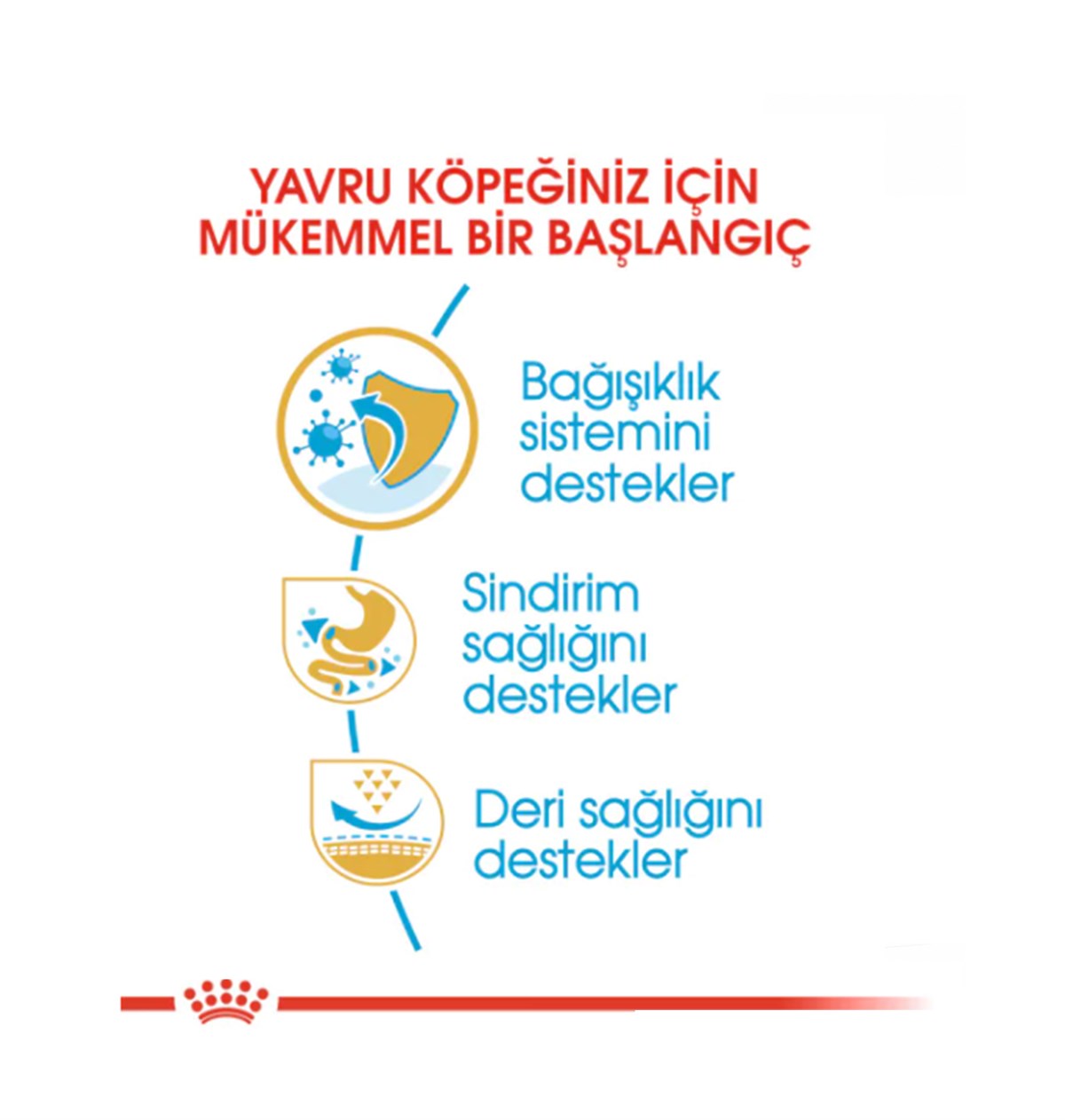 Royal Canin French Bulldog Puppy Yavru Köpek Maması 3 Kg