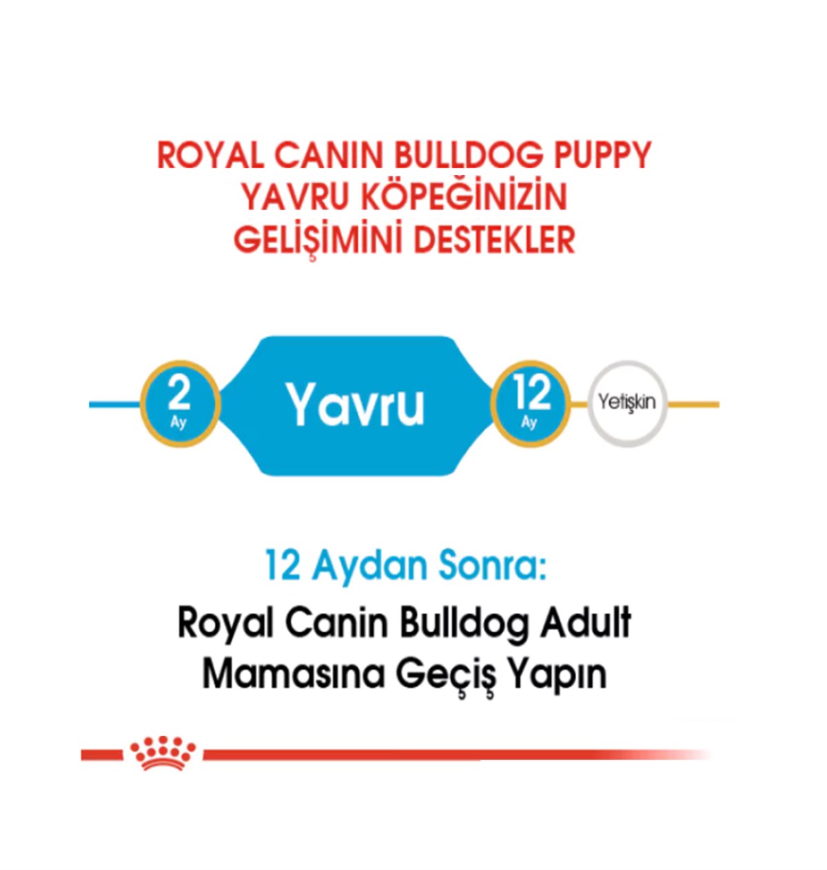 Royal Canin French Bulldog Puppy Yavru Köpek Maması 3 Kg