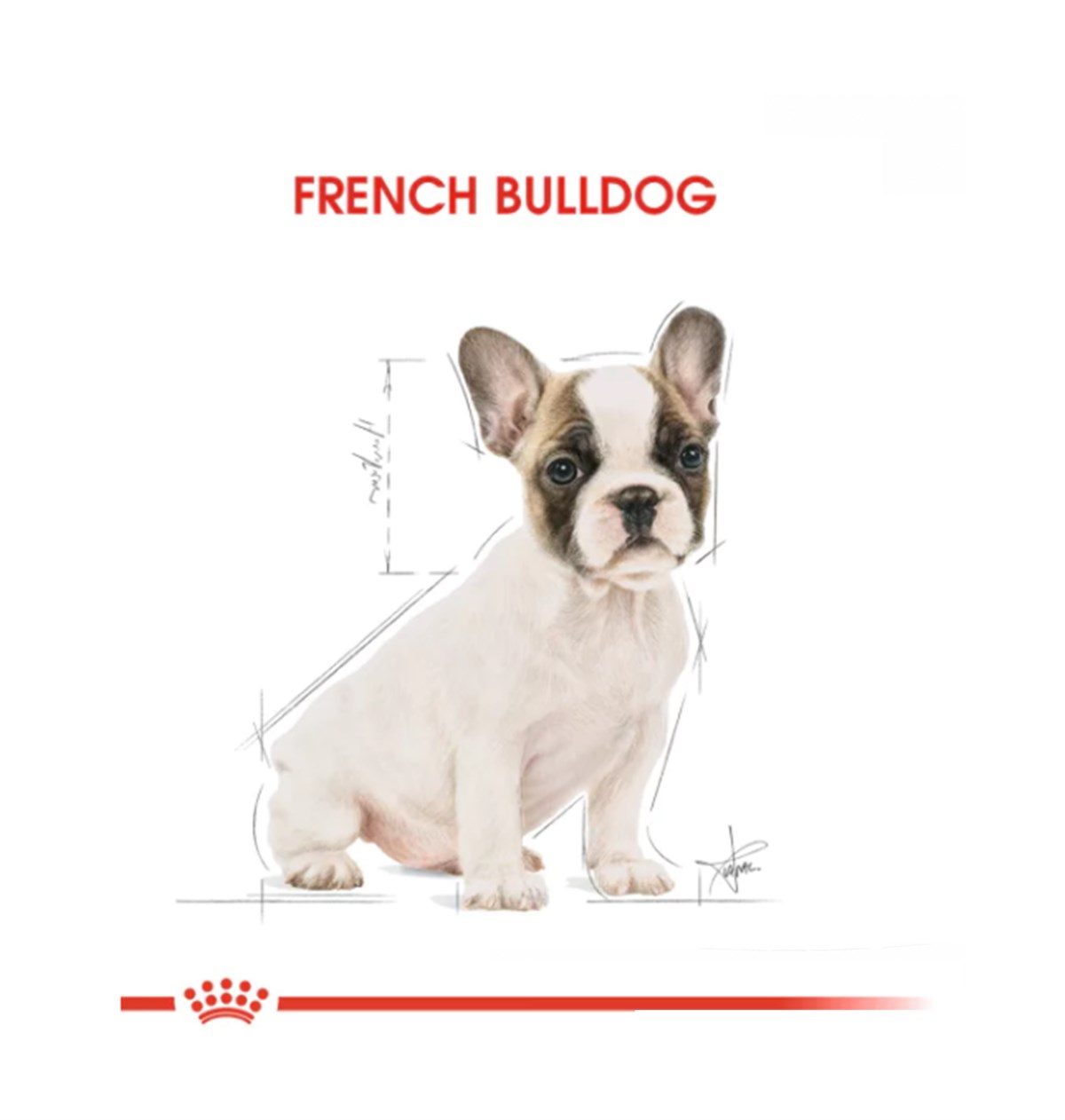 Royal Canin French Bulldog Puppy Yavru Köpek Maması 3 Kg