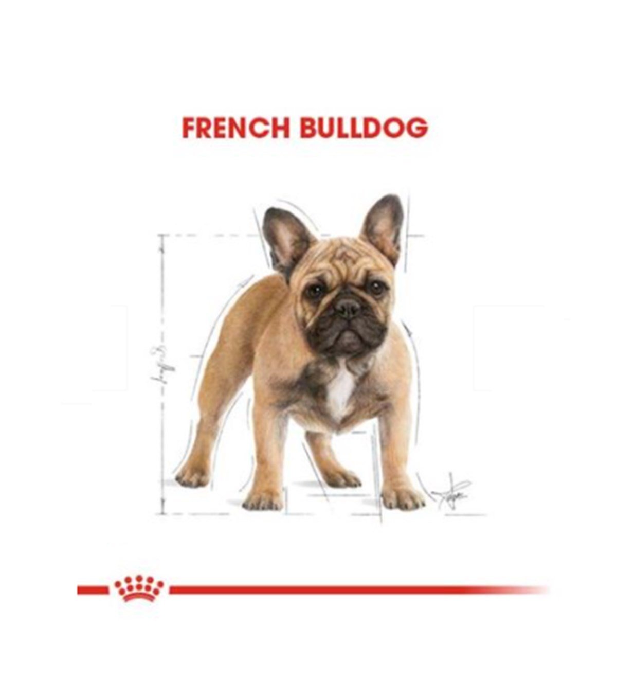 Royal Canin French Bulldog Adult Yetişkin Köpek Maması 3 Kg