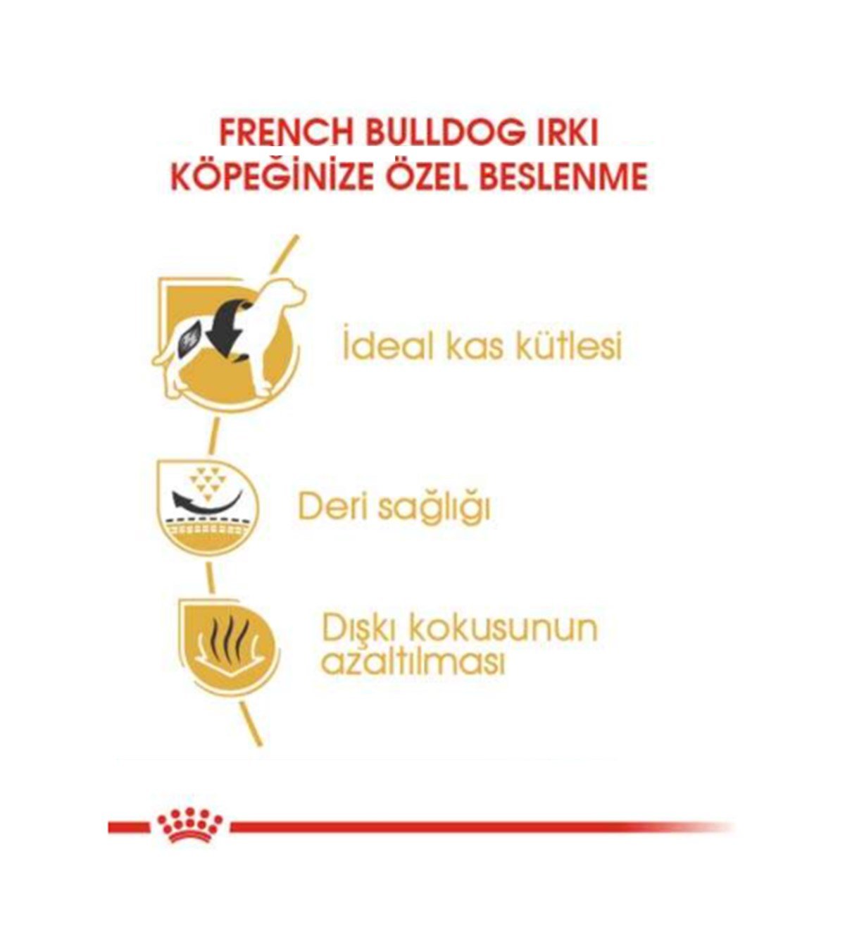Royal Canin French Bulldog Adult Yetişkin Köpek Maması 3 Kg
