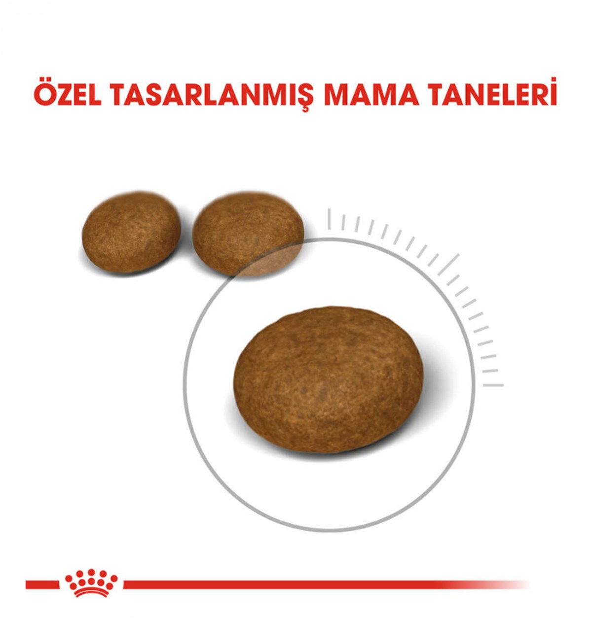 Royal Canin Hair Skin Adult Hassas Tüylü Yetişkin Kedi Maması 4 Kg