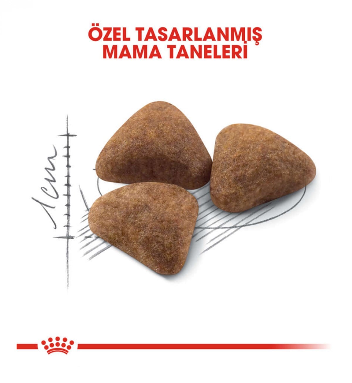 Royal Canin Indoor Yetişkin Kedi Maması 2 Kg