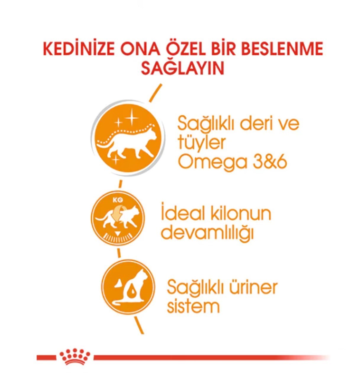 Royal Canin Intense Beauty Jelly Pouch Kedi Maması 85 Gr 1 Adet