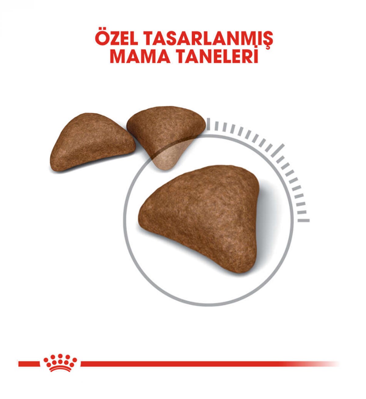Royal Canin Hairball Care Tüy Yumağı Kontrolü Yetişkin Kedi Maması 2 Kg