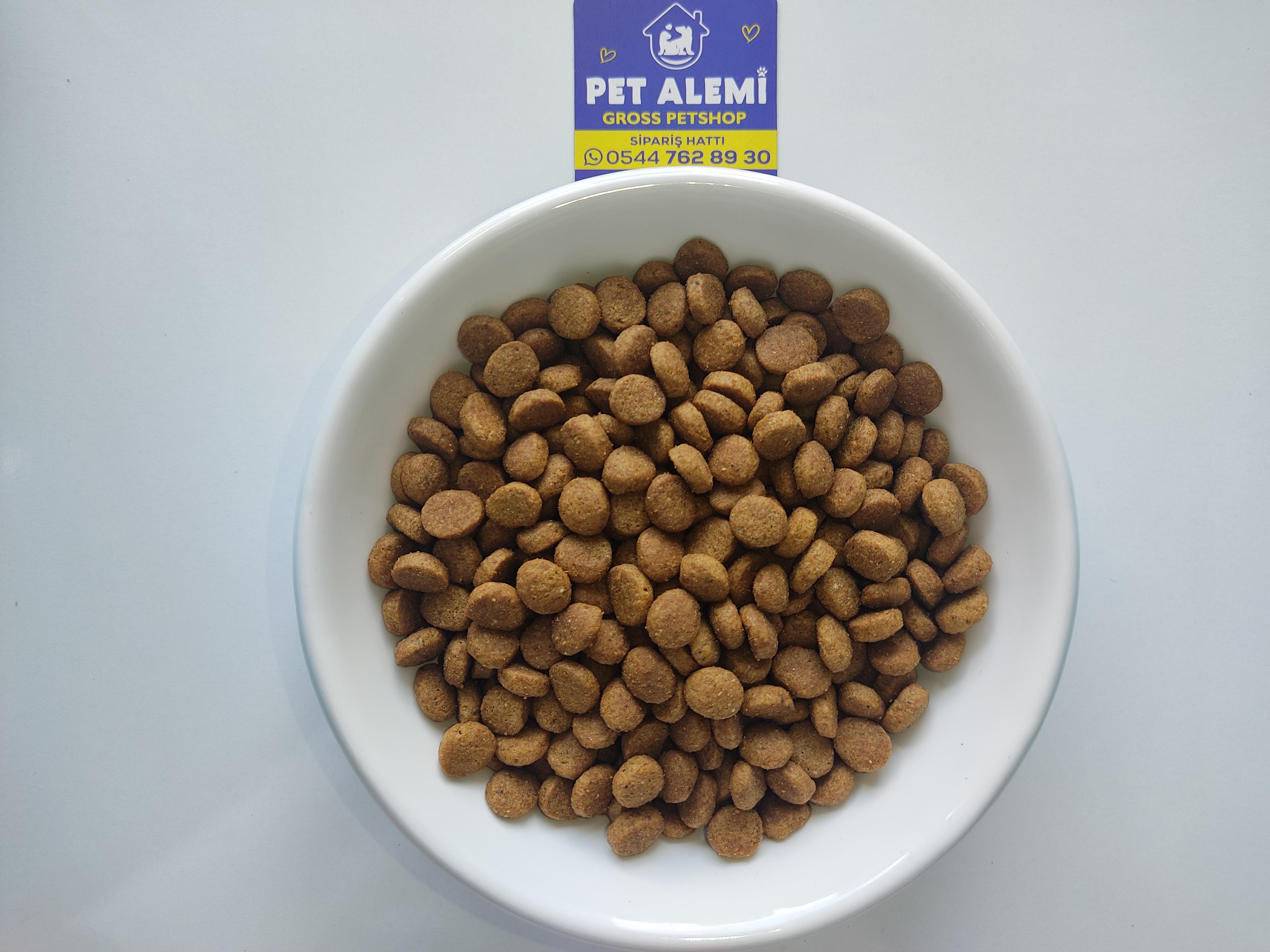 Royal Canin Kısır kedi maması 1 Kg Açık kg