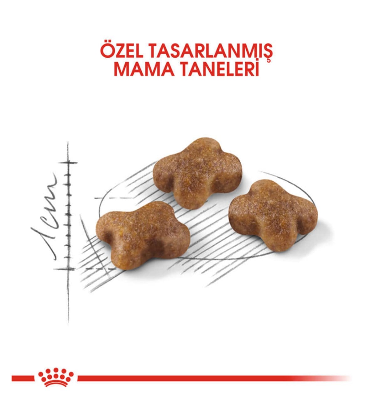 Royal Canin Kitten 36 Yavru Kedi Maması 2 Kg 