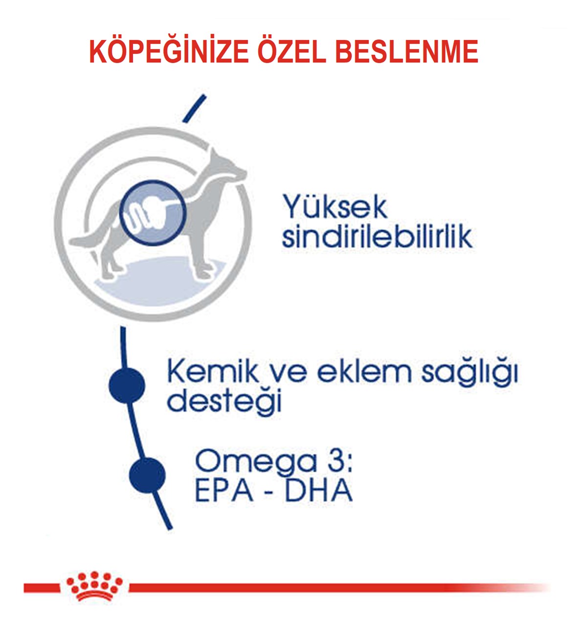 Royal Canin Maxi Adult Büyük Köpek Maması 15 Kg