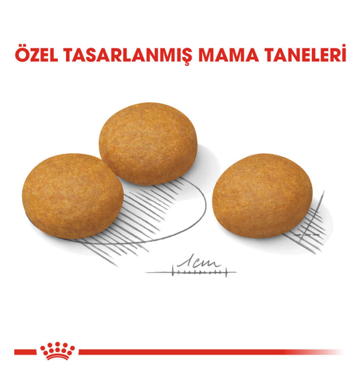 Royal Canin Medium Dermacomfort Orta Irk Hassas Yetişkin Köpek Maması 12 Kg.