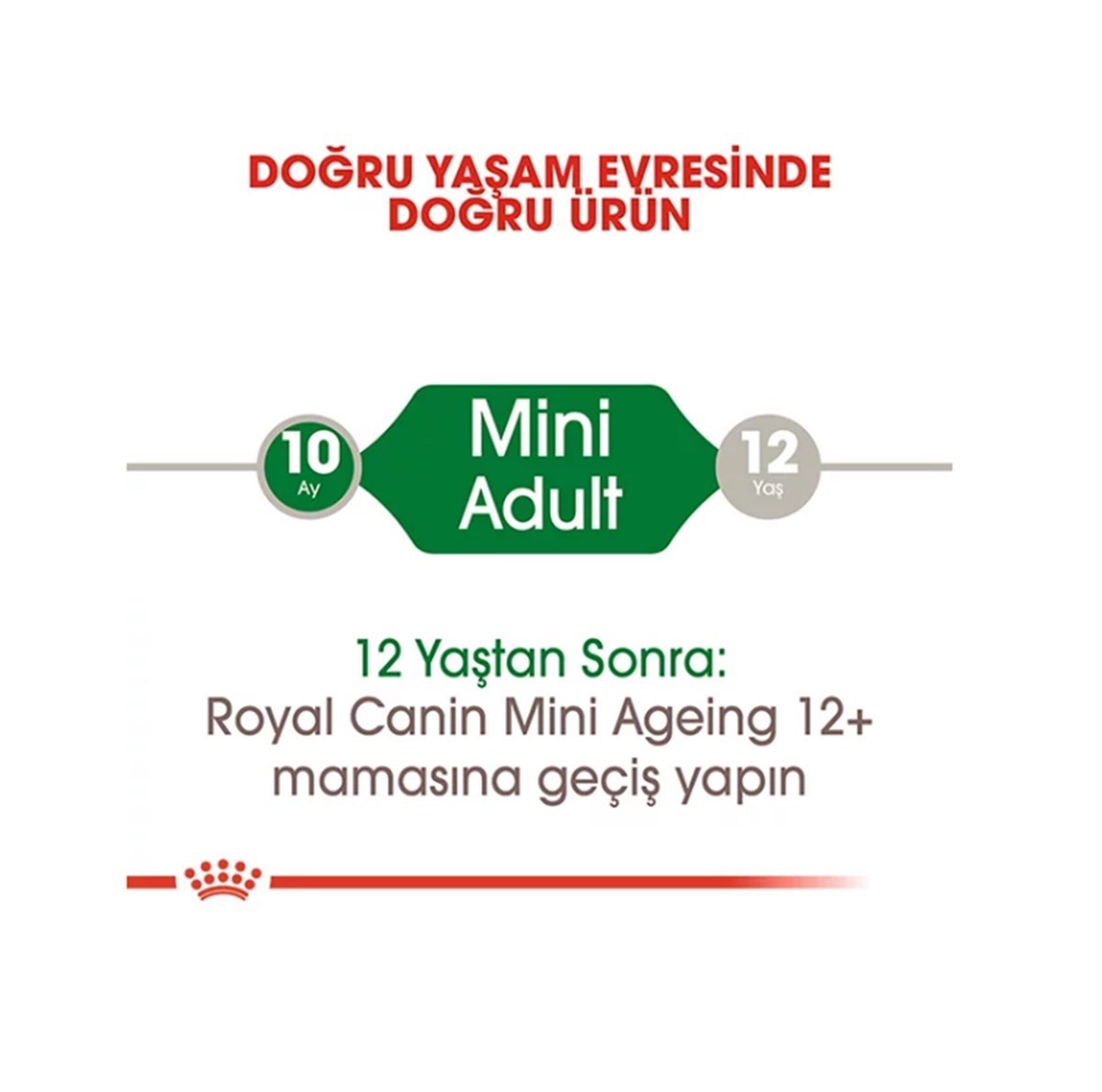 Royal Canin Mini Adult Pouch Konserve Köpek Maması 85 Gr. 1 Adet