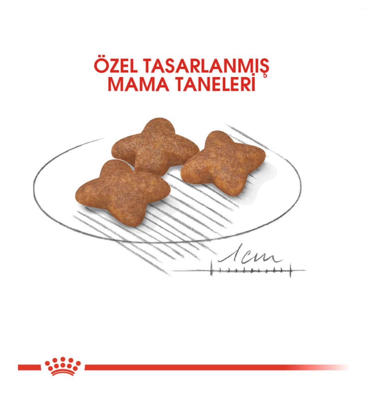 Royal Canin Mini Adult Yetişkin Köpek Maması 2 Kg