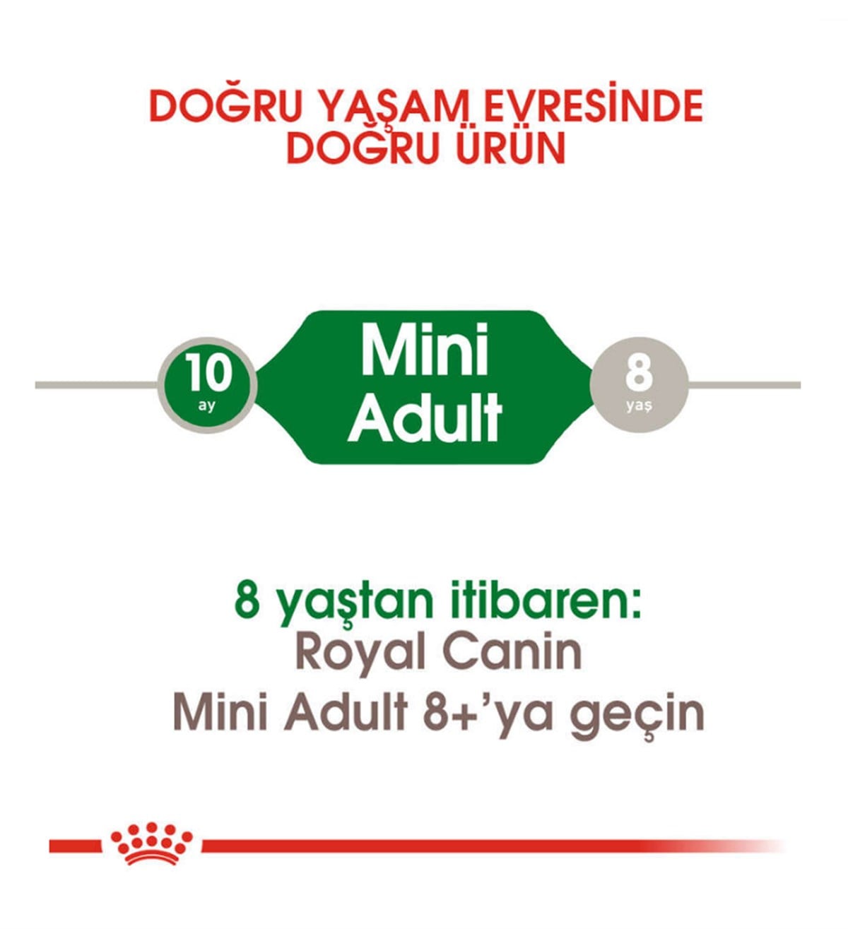 Royal Canin Mini Adult Yetişkin Köpek Maması 2 Kg