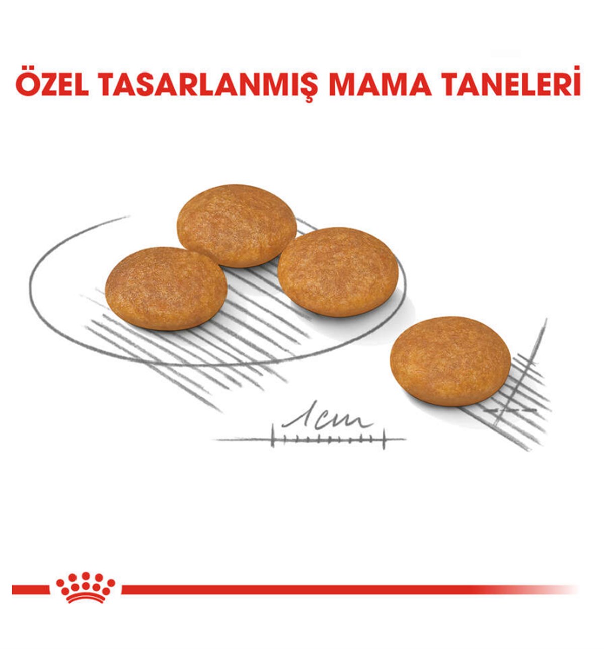 Royal Canin Mini Dermacomfort Köpek Maması 3 Kg