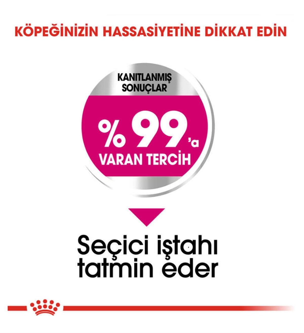 Royal Canin Mini Exigent Köpek Maması 3 Kg