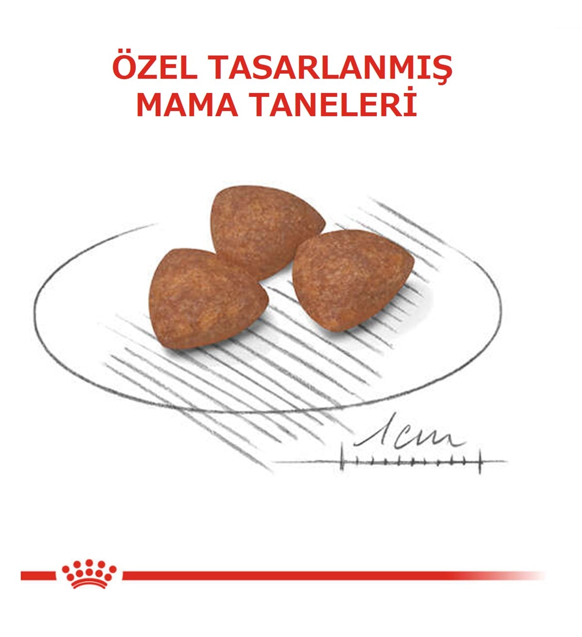Royal Canin Mini Puppy Küçük Irk Yavru Köpek Maması 2 Kg