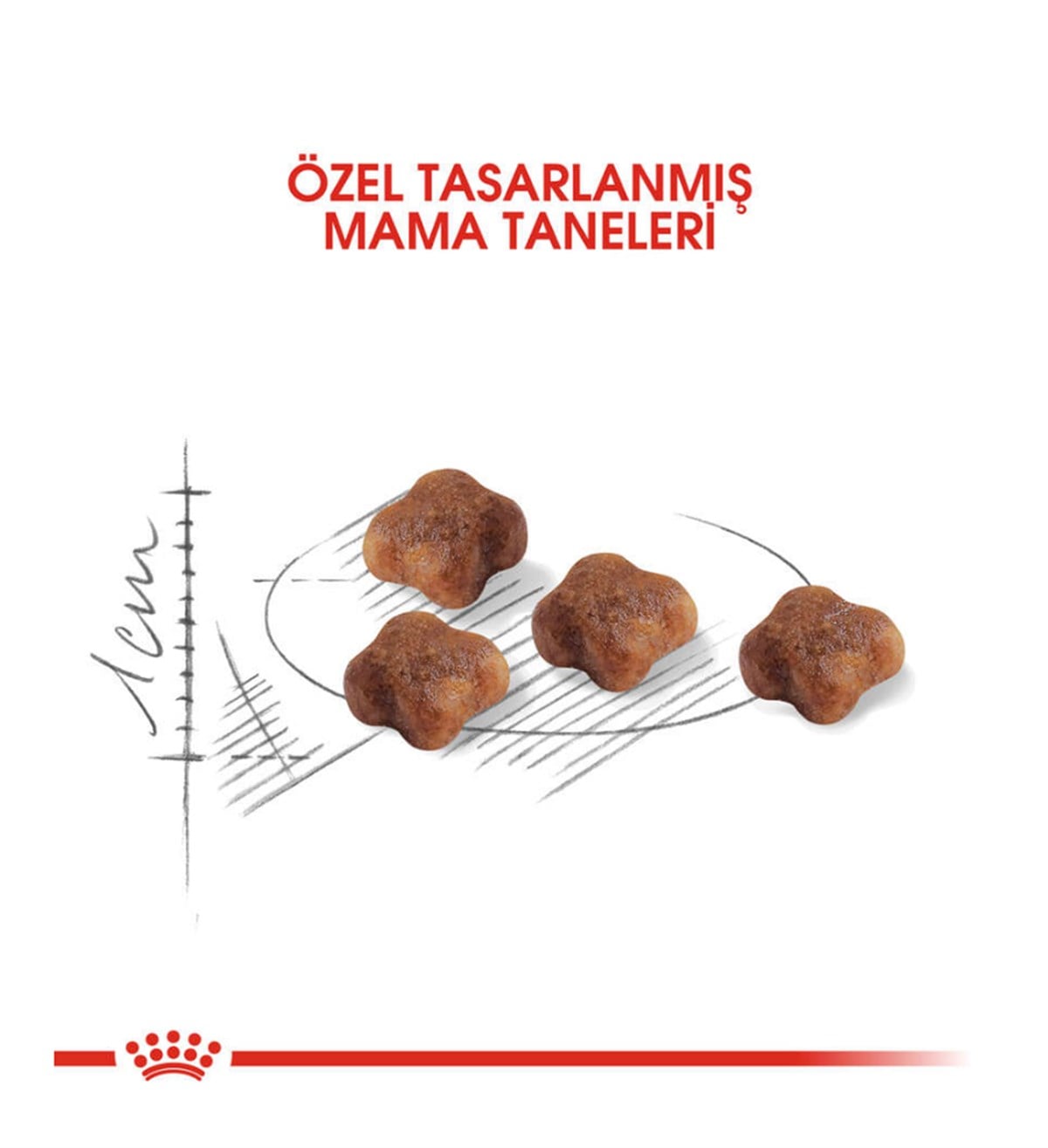Royal Canin Mother & Baby Cat Yavru Kedi Maması 2 Kg.