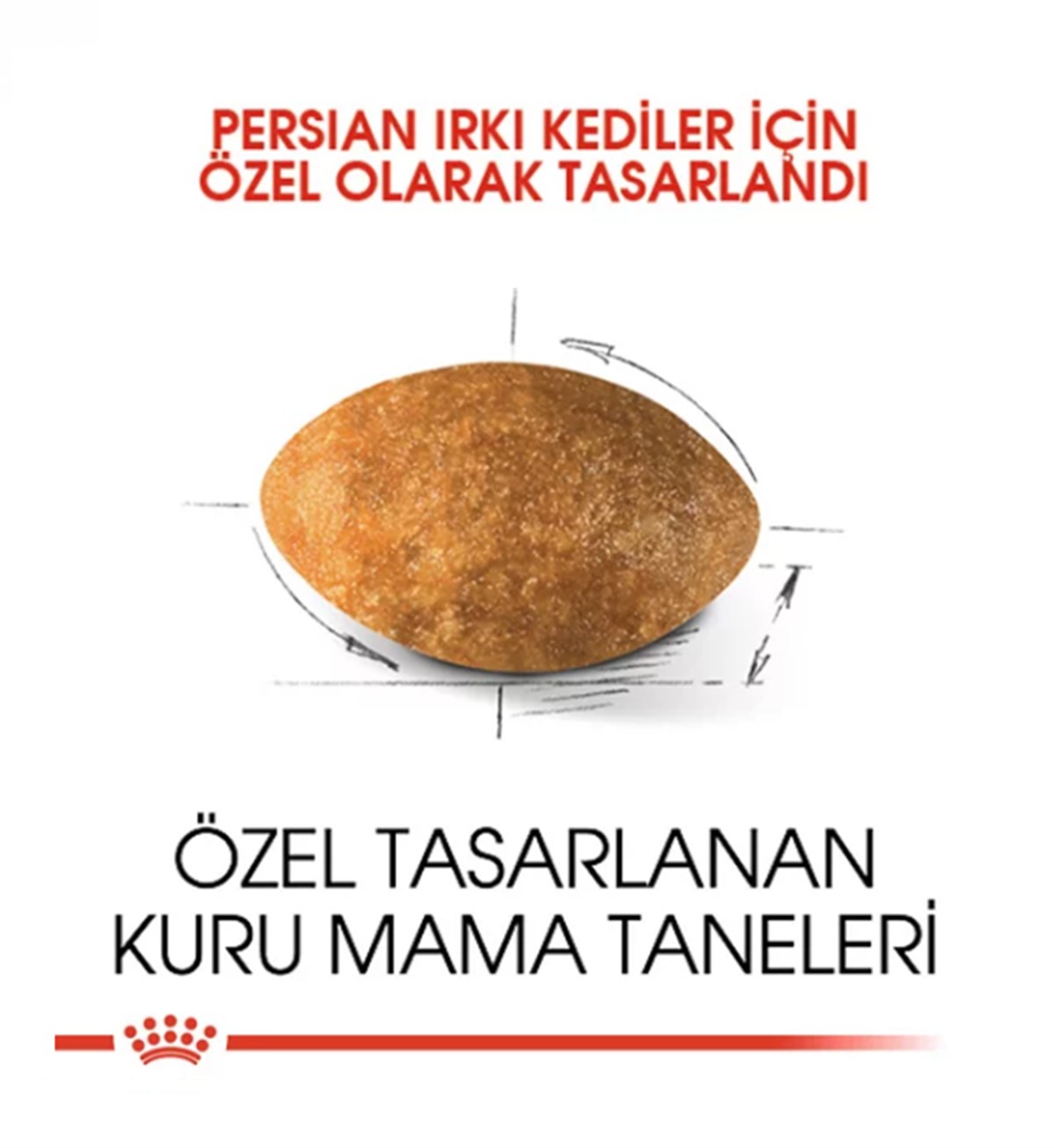 Royal Canin Persian Adult Yetişkin Kedi Maması 2 Kg