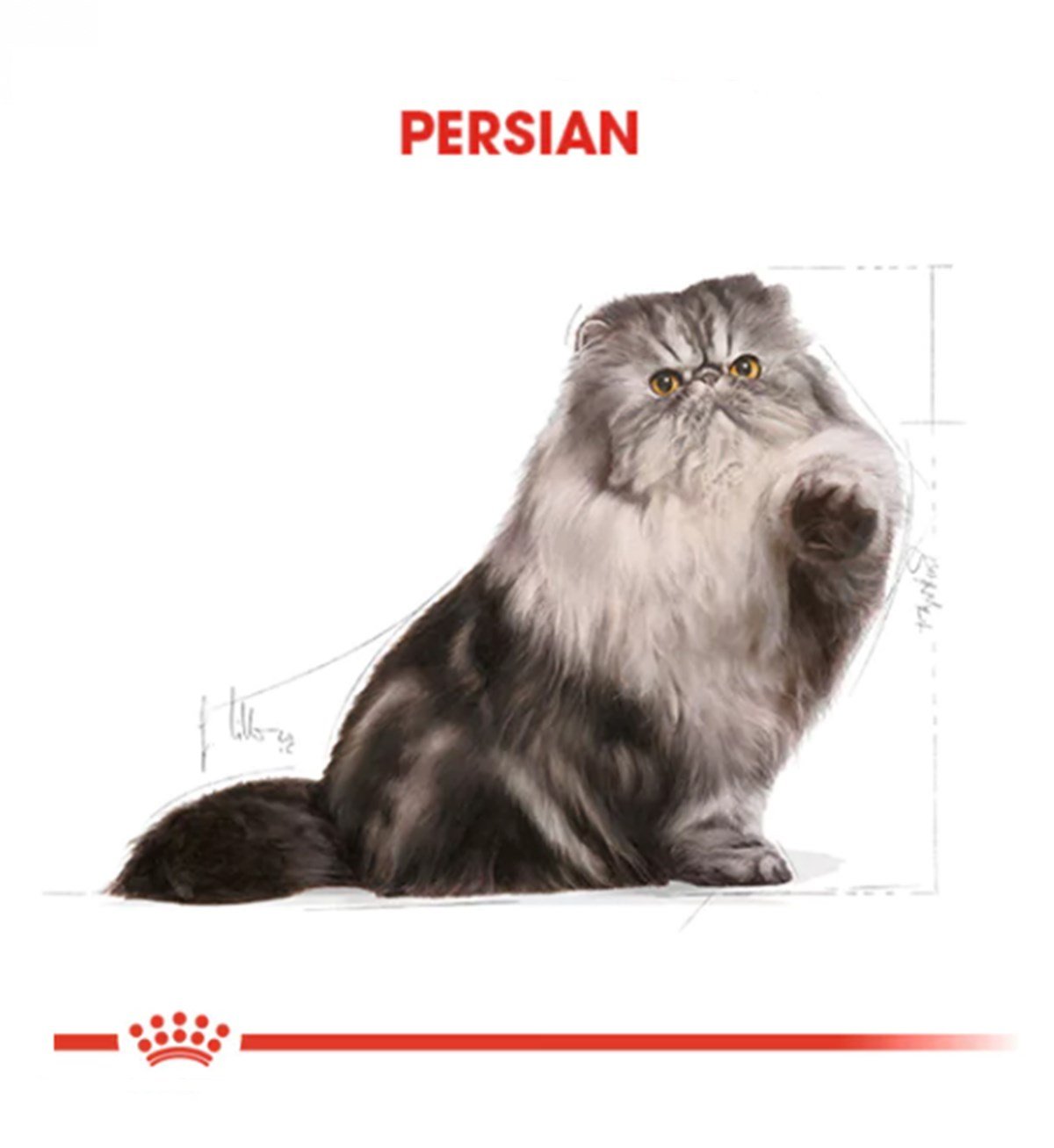 Royal Canin Persian Adult Yetişkin Kedi Maması 4 Kg