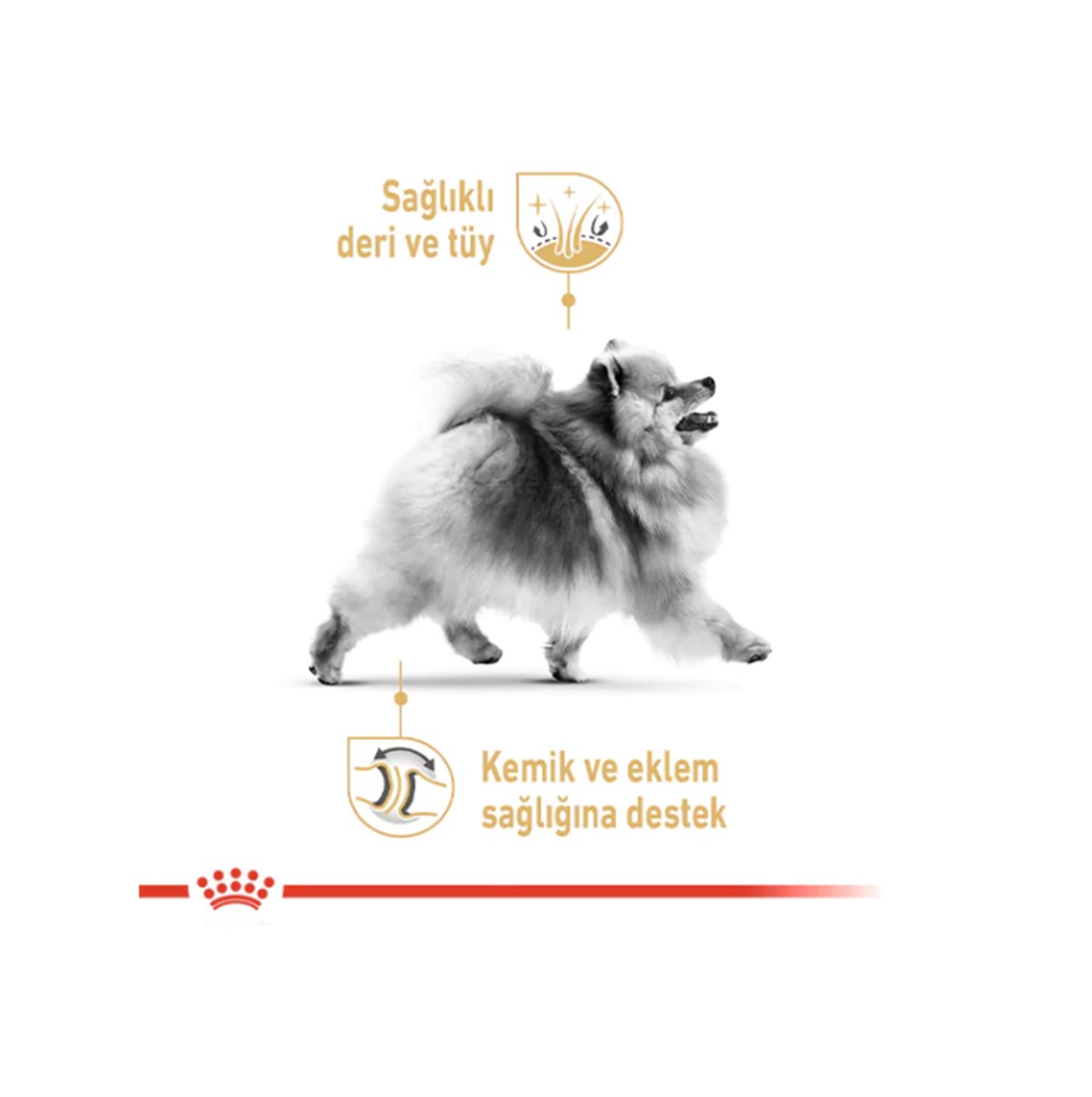 Royal Canin Pomeranian Adult Yetişkin Köpek Maması 3 Kg