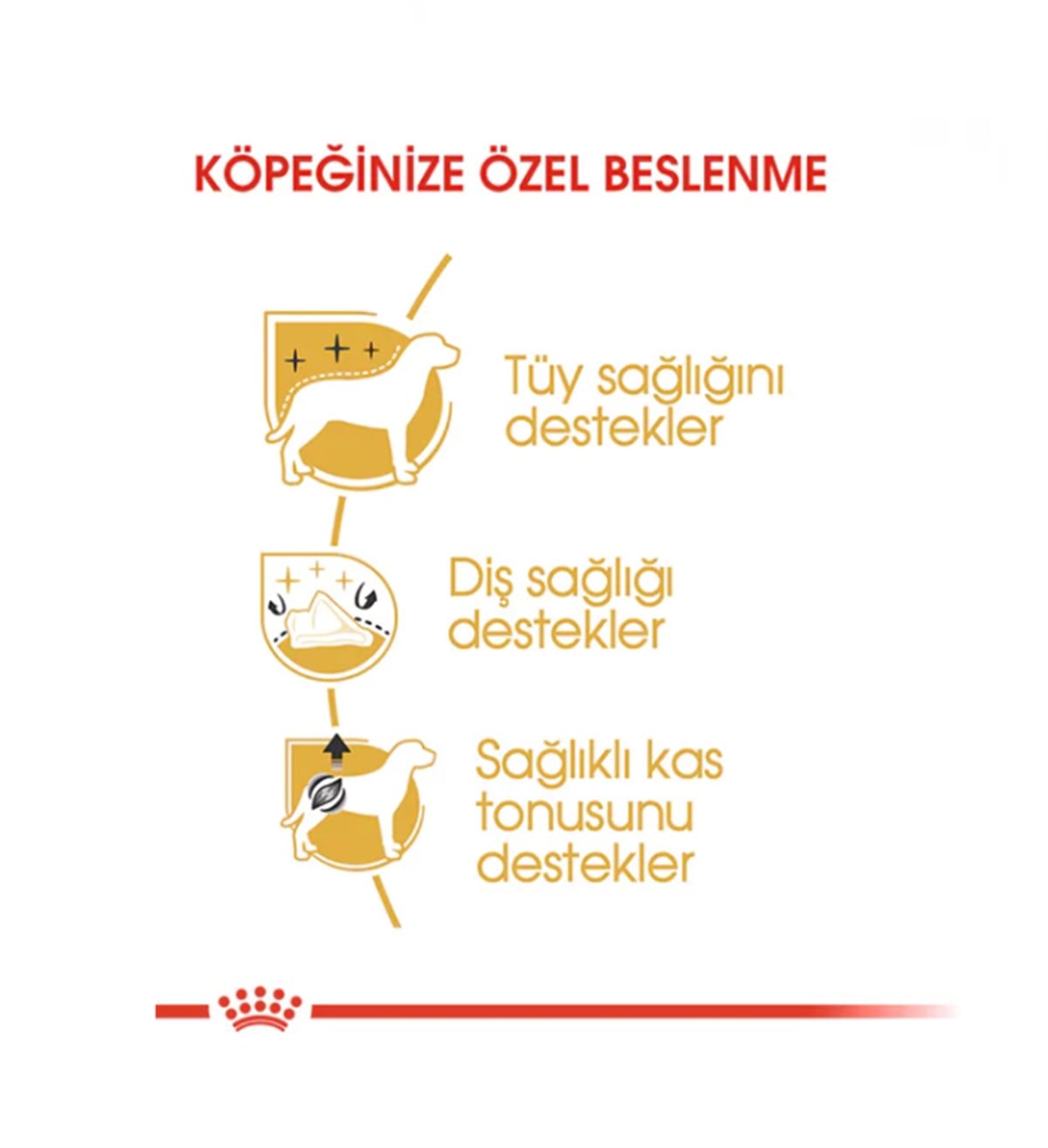 Royal Canin Poodle / Caniche Adult Yetişkin Köpek Maması 3 Kg.