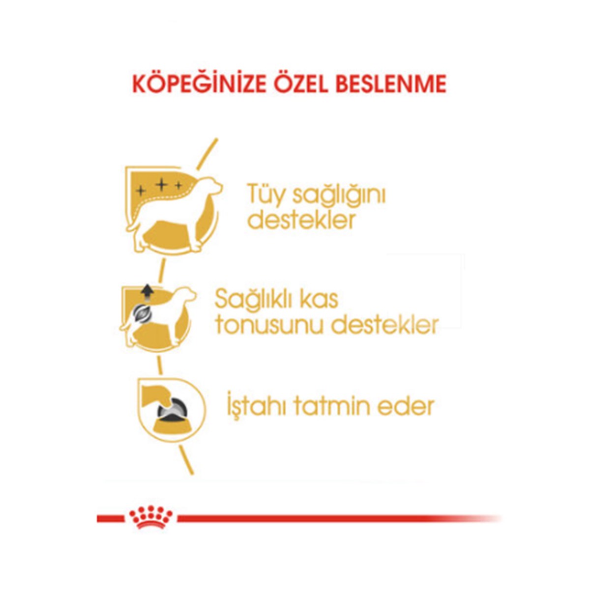 Royal Canin Poodle Pouch Yetişkin Yaş Köpek Maması 85 Gr 