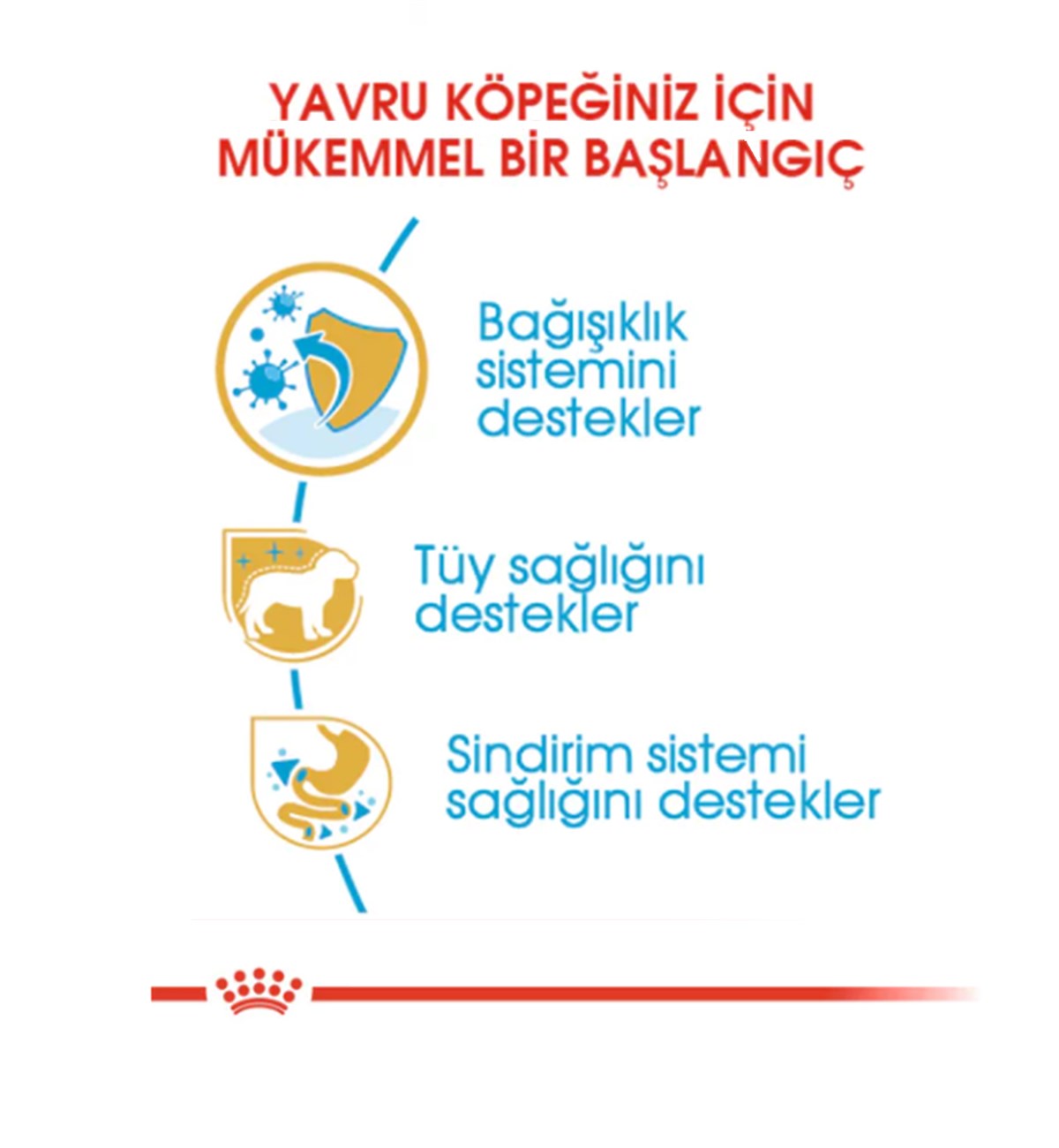 Royal Canin Poodle / Caniche Puppy Yavru Köpek Maması 3 Kg