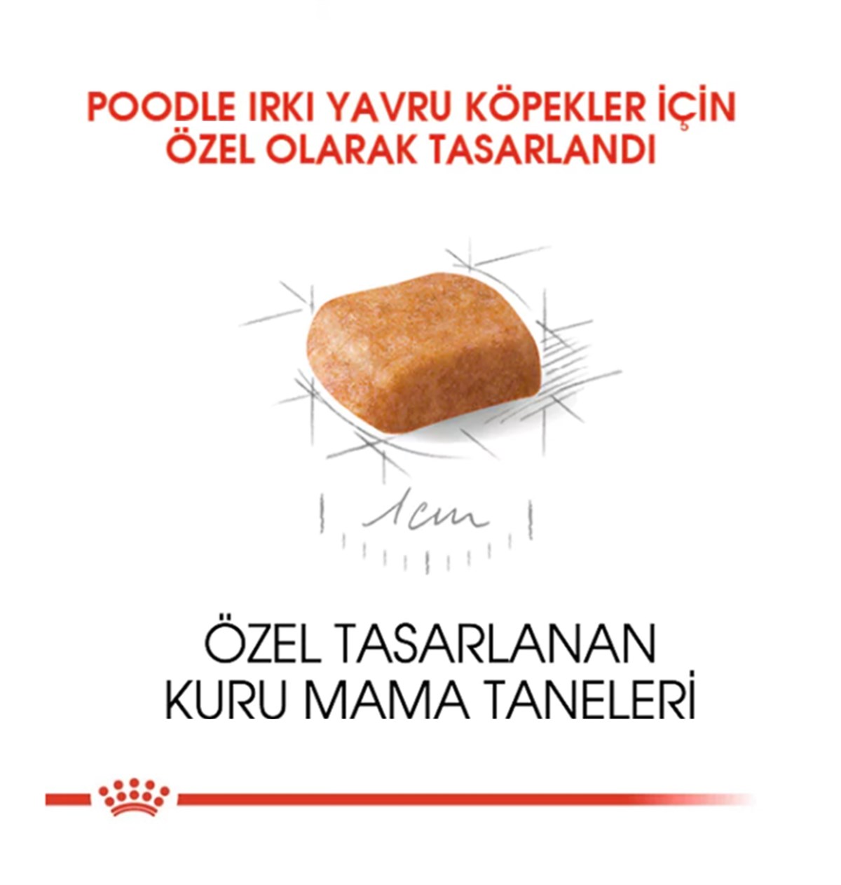 Royal Canin Poodle / Caniche Puppy Yavru Köpek Maması 3 Kg