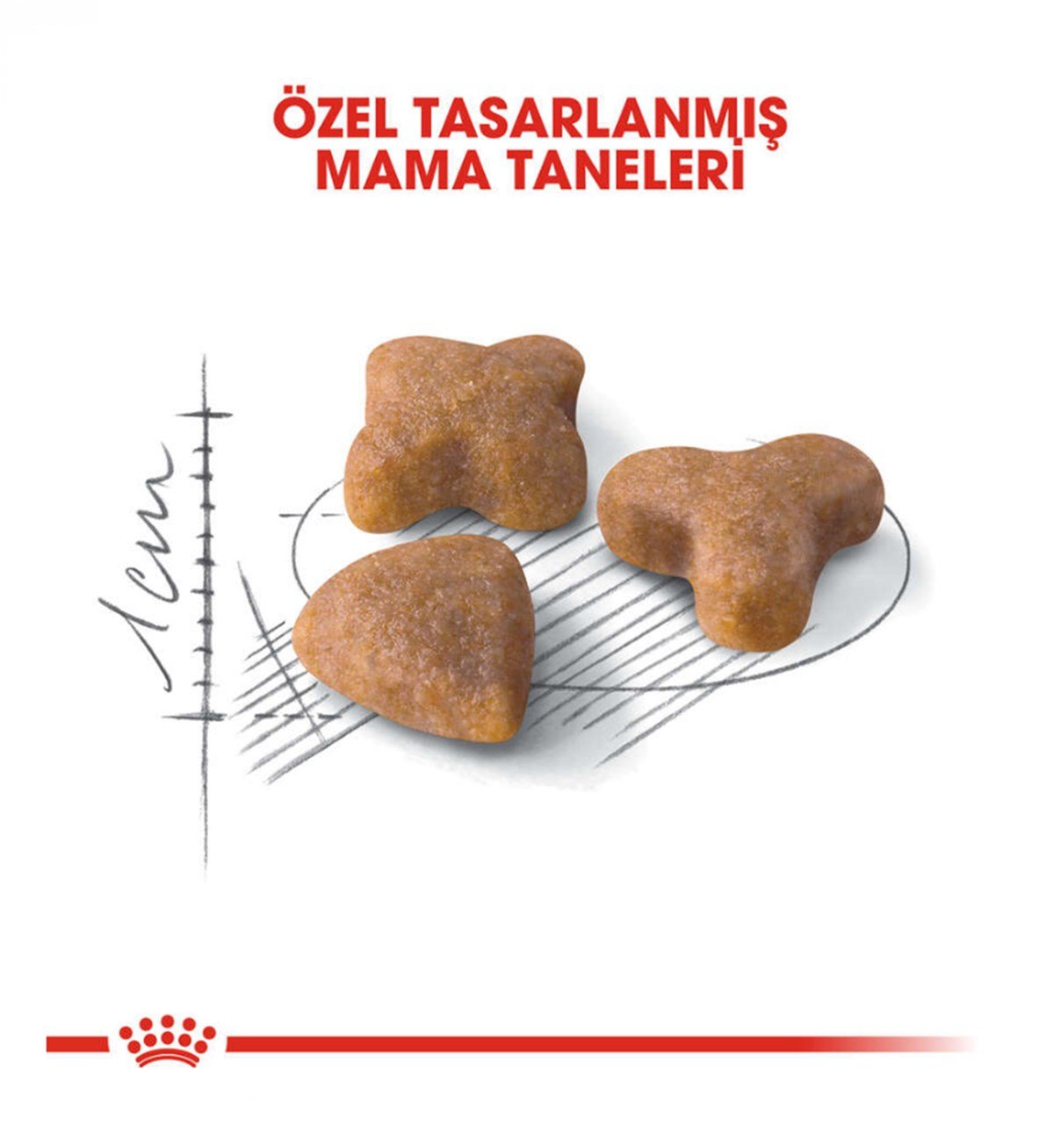 Royal Canin Sensible Sindirim Hassasiyetli Yetişkin Kedi Maması 2 Kg