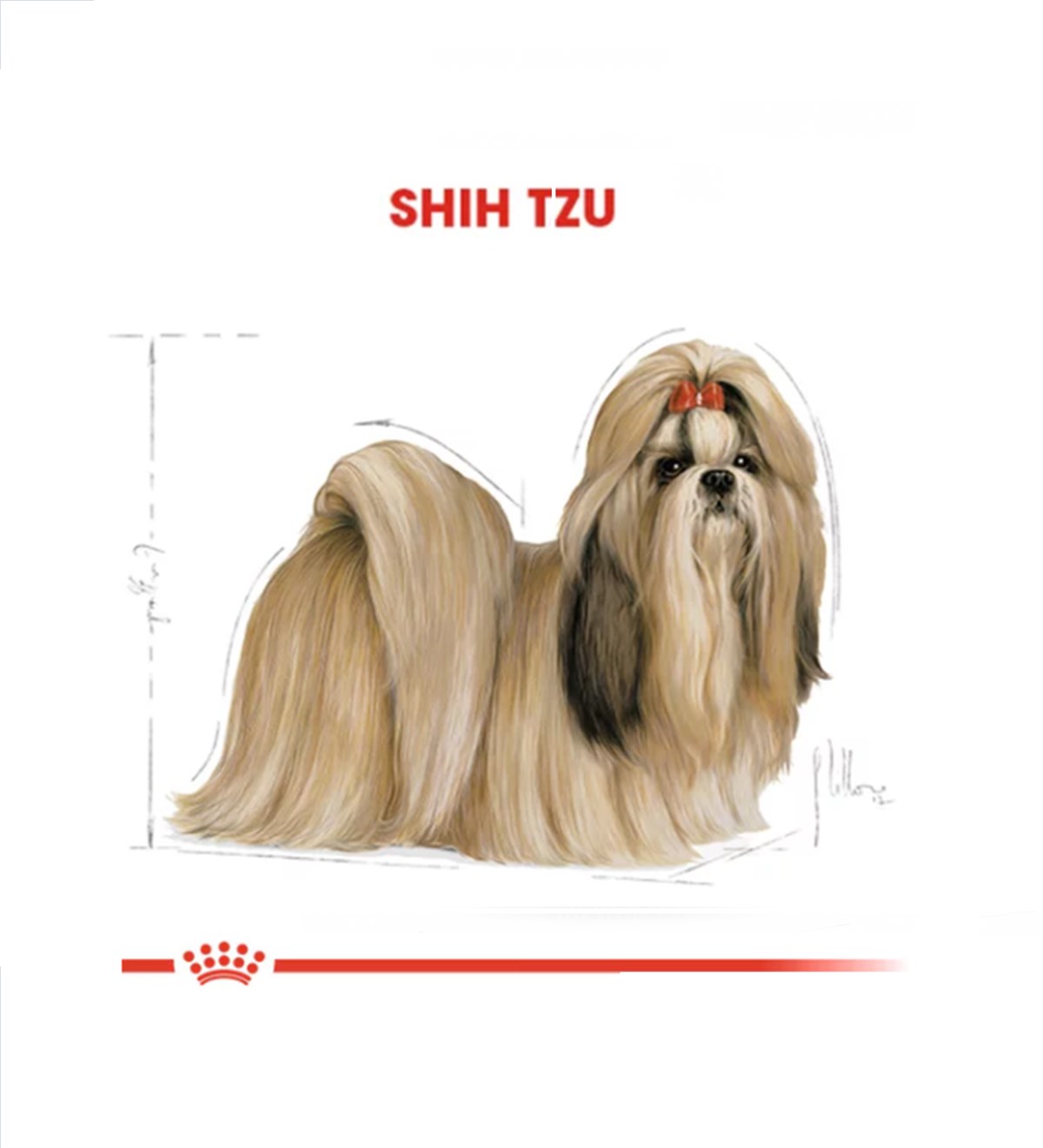Royal Canin Shih Tzu Adult Yetişkin Köpek Maması 1.5 Kg