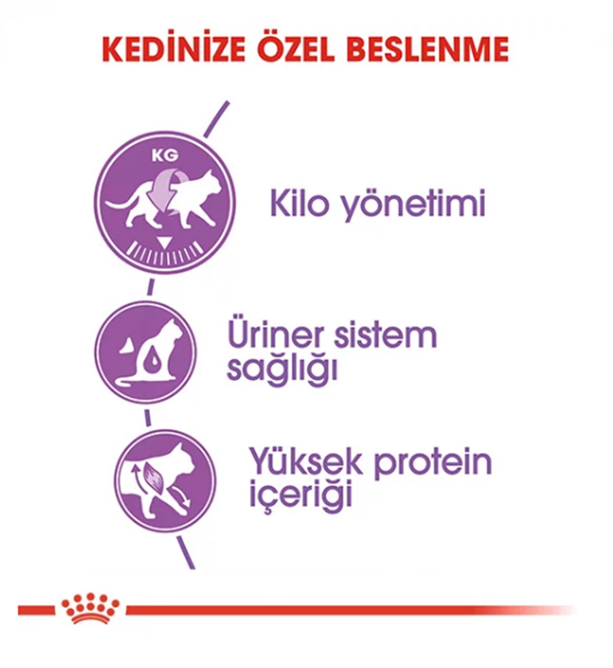 Royal Canin Sterilised 37 Kısırlaştırılmış Yetişkin Kedi Maması 15 Kg