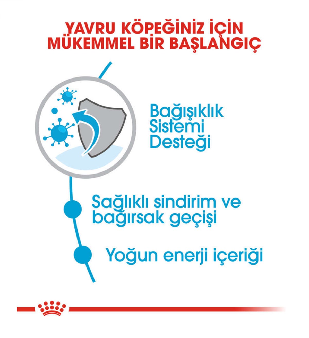 Royal Canin X-Small Puppy Mini Irk Yavru Köpek Maması 1.5 Kg