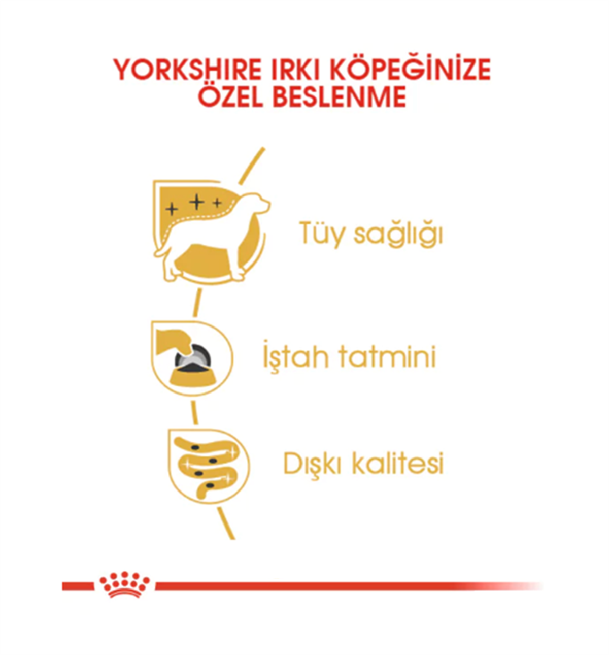 Royal Canin Yorkshire Terrier Pouch Yetişkin Köpek Yaş Maması 85 Gr