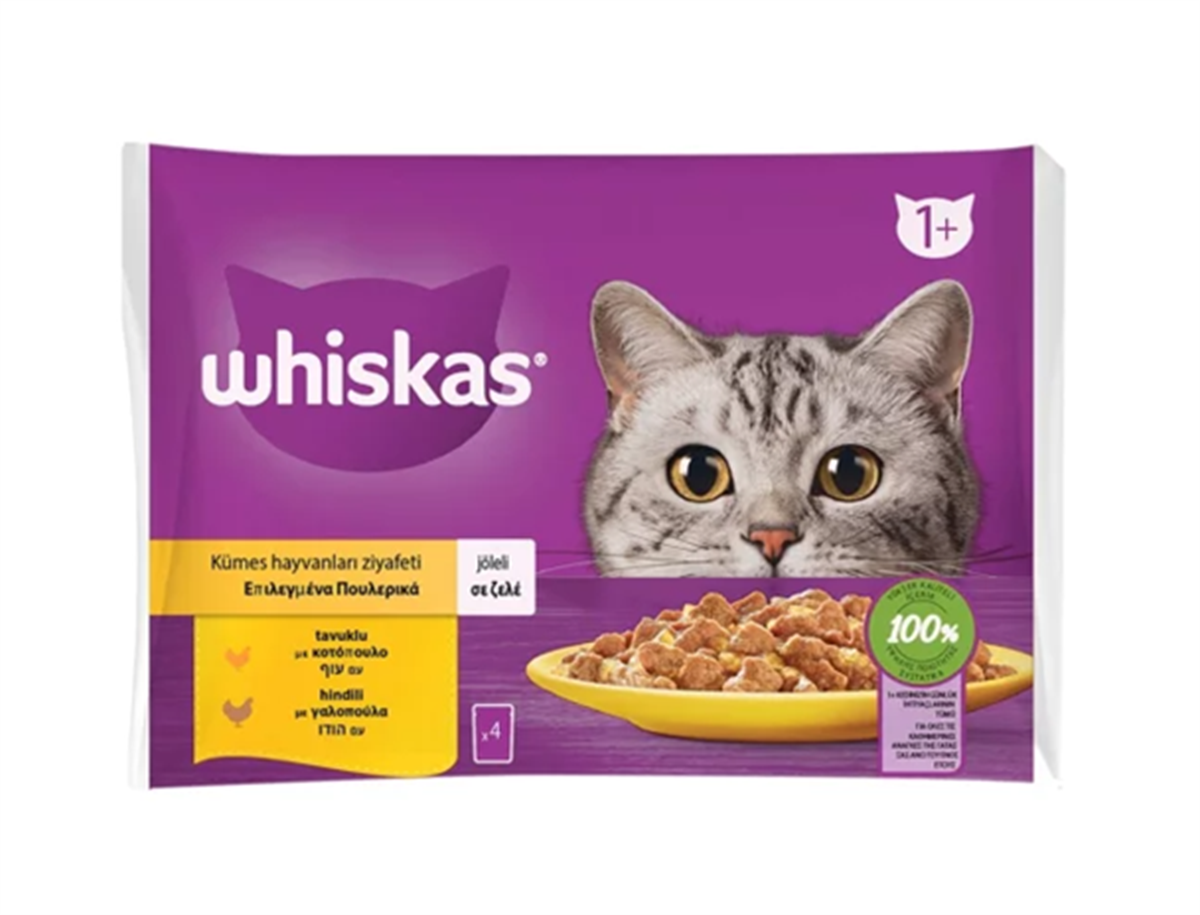 Whiskas Kümes Hayvanlı Multipack Jelly Pouch Tavuklu ve Hindili Yetişkin Kedi Maması 85 Gr 4 Adet