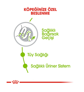 Royal Canin X-Small Adult Mini Irk Yetişkin Köpek Maması 1.5 Kg