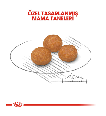 Royal Canin X-Small Adult Mini Irk Yetişkin Köpek Maması 1.5 Kg