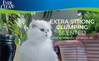 Ever Clean Extra Strong Scented Ekstra Güçlü Kokulu Kedi Kumu 10 Lt