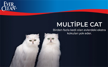 Ever Clean Multiple Çoklu Kedi Kullanıma Uygun Kedi Kumu 10 lt