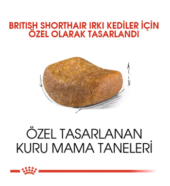Royal Canin British Shorthair Yetişkin Kedi Maması 4 Kg
