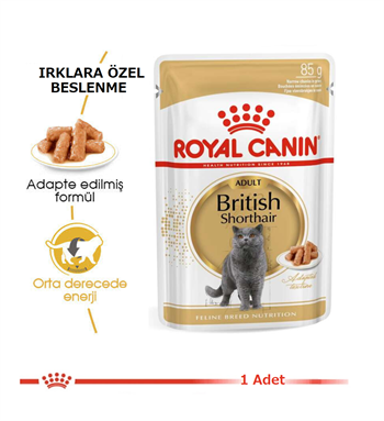 Royal Canin British Shorthair Pouch Yetişkin Kedi Maması 85 Gr 1 Adet